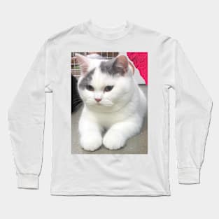 the chubby white cats Long Sleeve T-Shirt